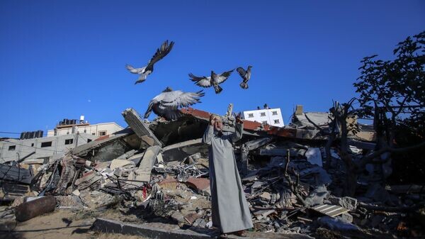    © Sputnik / Ахмед Закоут