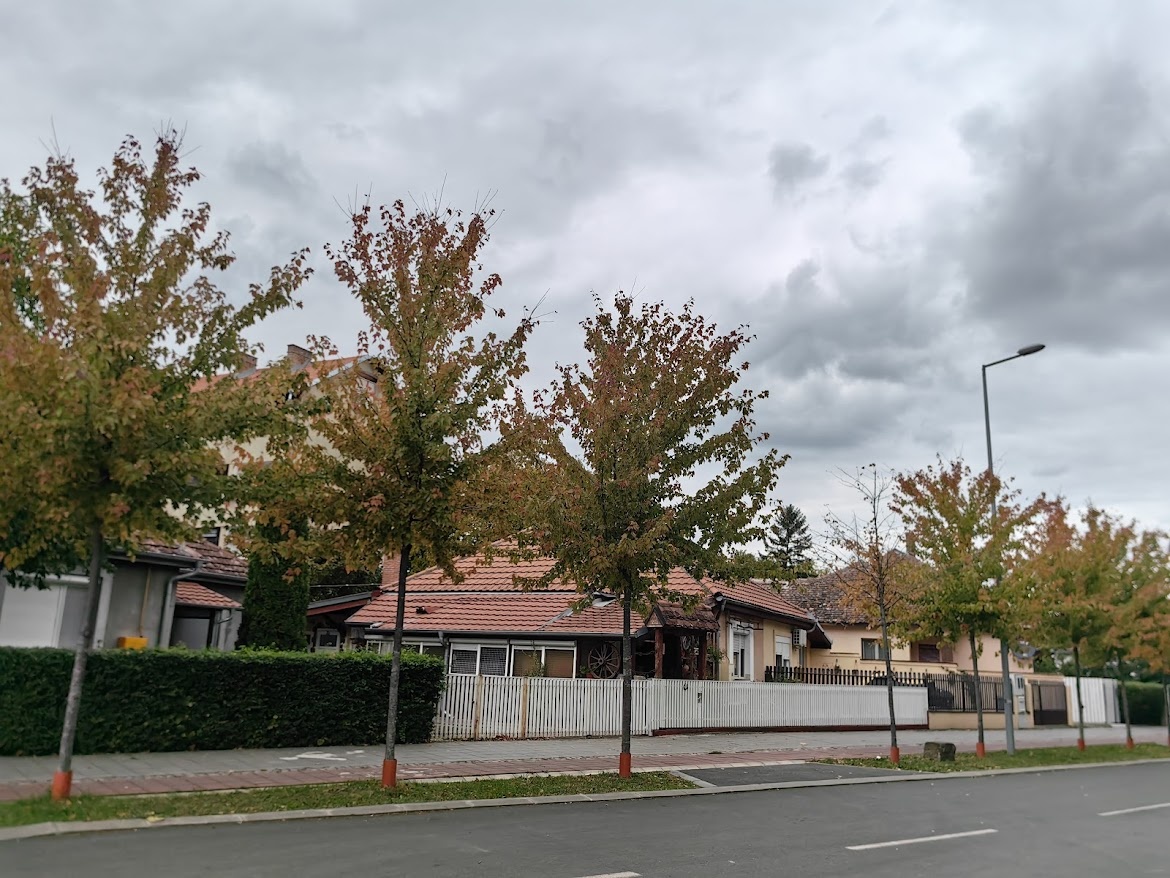 Просто улочки Сремской Митровицы. Листайте.