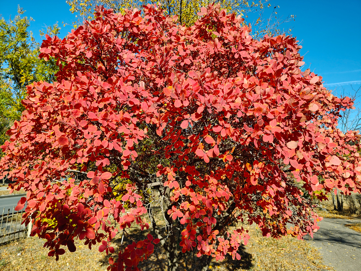 Как будто букет цветов