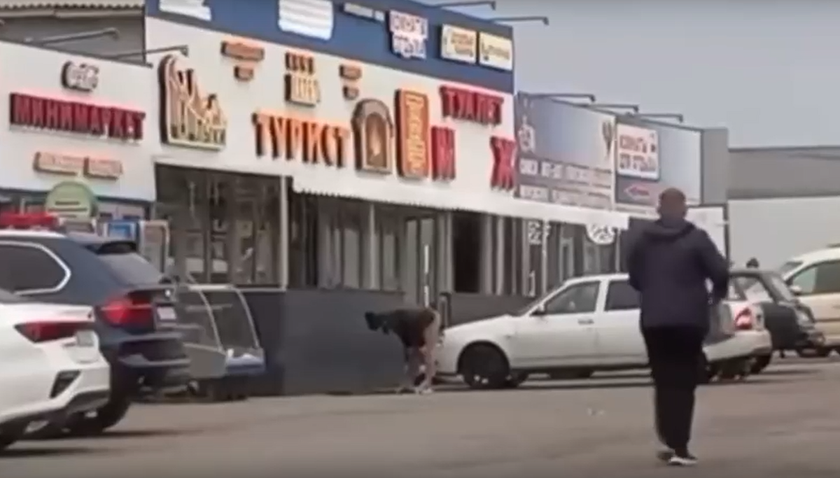 Фото: скрин видео.