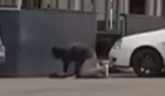 Фото: скрин видео.