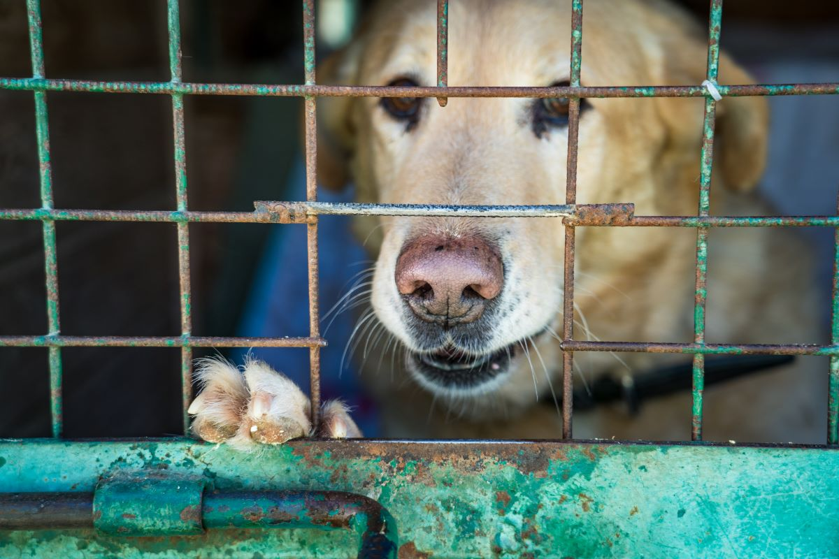 Фото: Александр Плонский / «ВиЖ»
