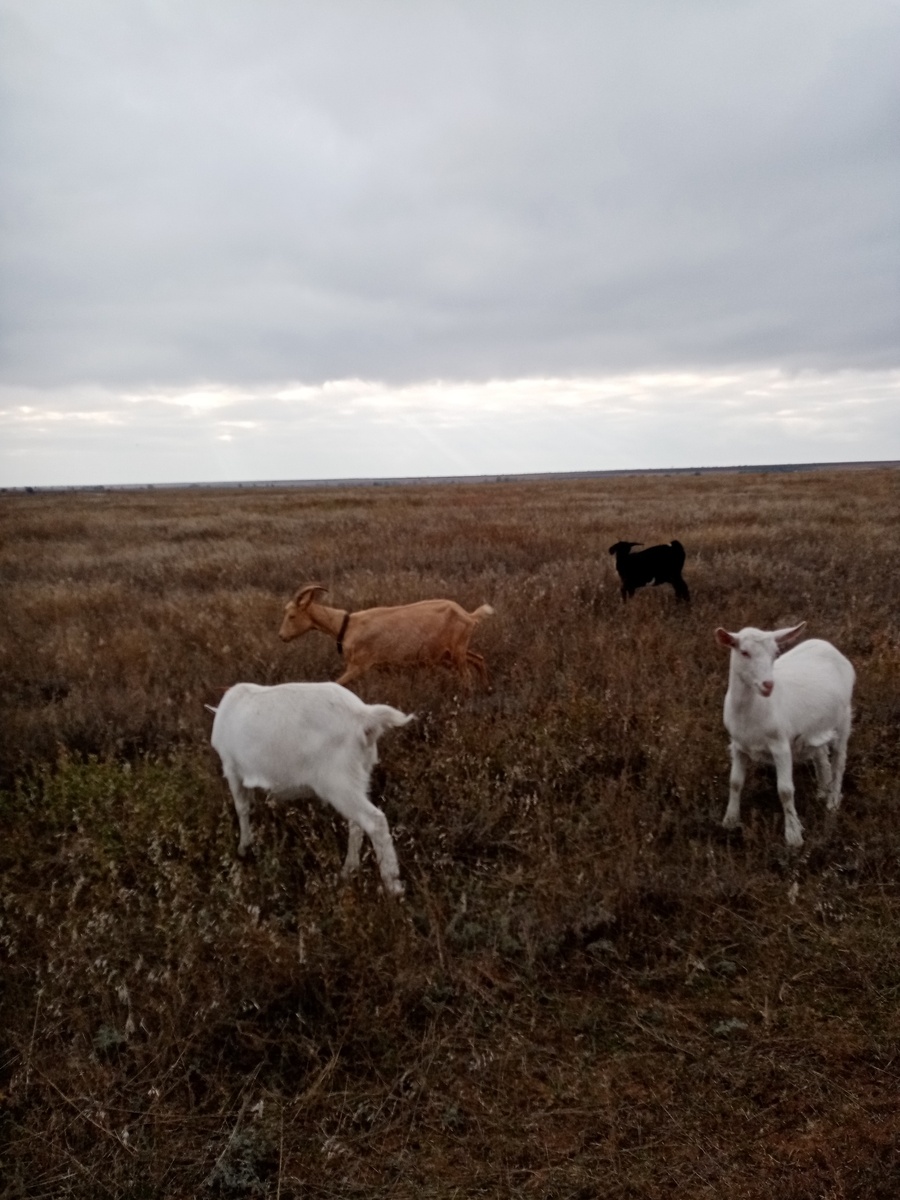 14 октября 2023 год. Фото автора.