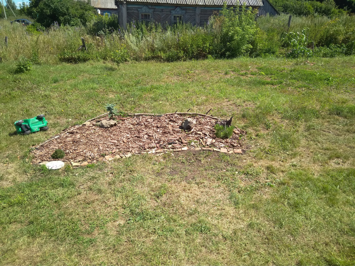 2019 год. Позади - соседский заброшенный дом. Это самый страшный вид в моем саду, единственное место, которое мне хочется скрыть. И я уже не полпути к этому. Вдалеке виднеется еще один дом, жилой, это моя ближайшая и единственная соседка.