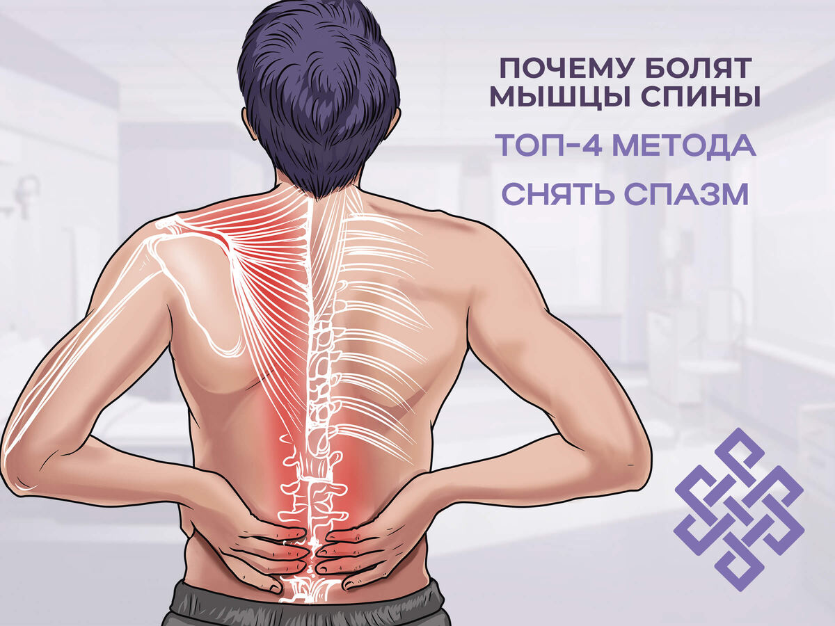 Почему болят мышцы спины топ-4 метода снять спазм 