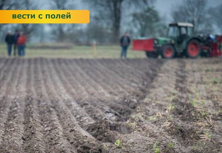    Фото ТГ-канала Минсельхозпрода РО Татьяна Пшеничная