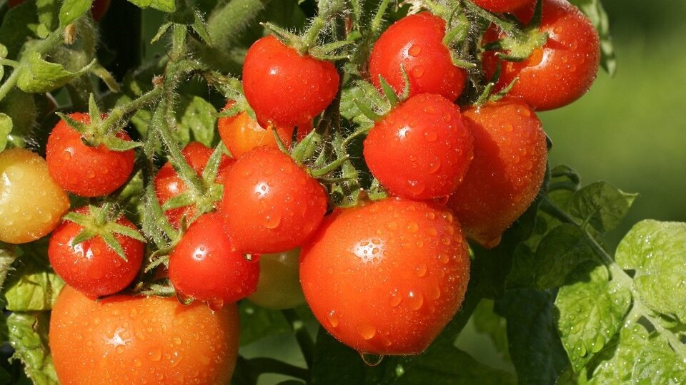 Justus de Cuveland, globallookpress.com