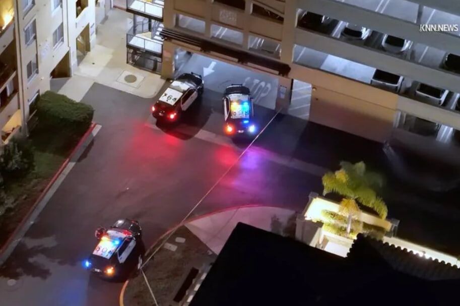     / Источник: © Кадр из видео/KNN. News