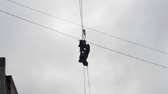 Фото: администрация города Отрадное