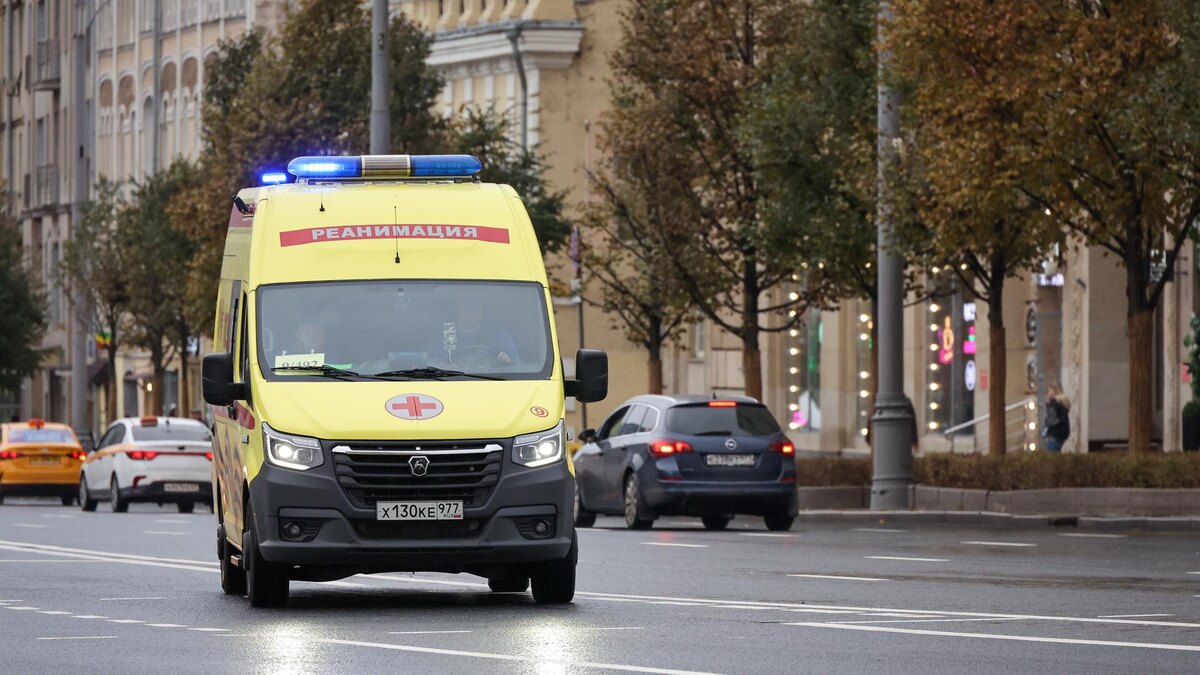    Фото: Belkin Alexey/globallookpress.com