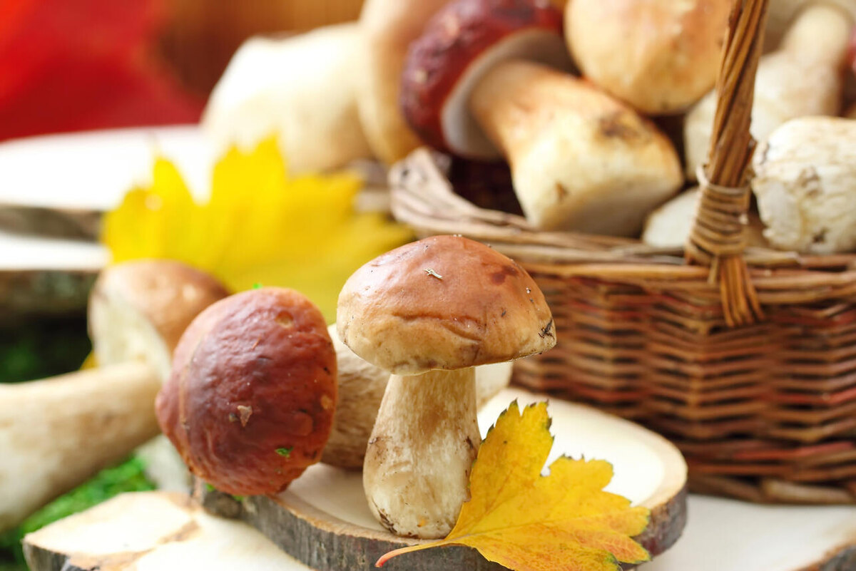     123RF/legion-media.ru