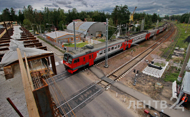    © Анастасия Илюшина / ЛенТВ24, архивное фото