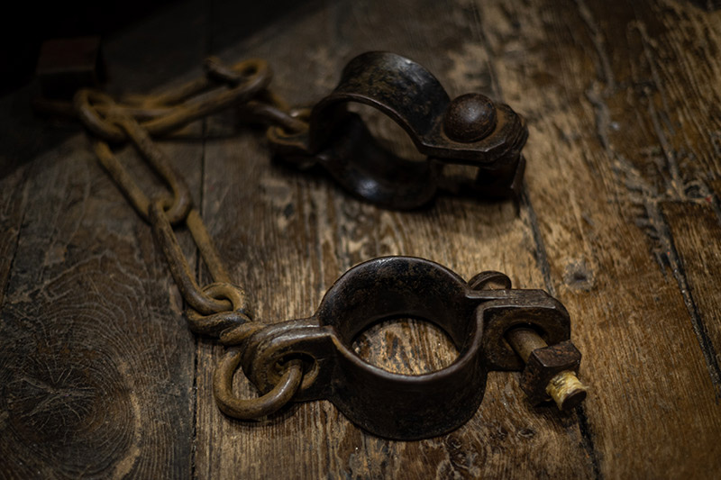    Shutterstock/FOTODOM