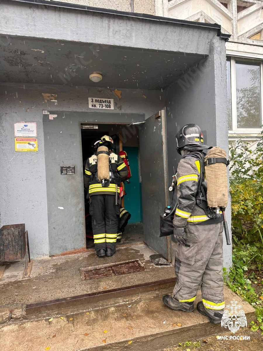    Фото: МЧС Карелии/ Телеграм