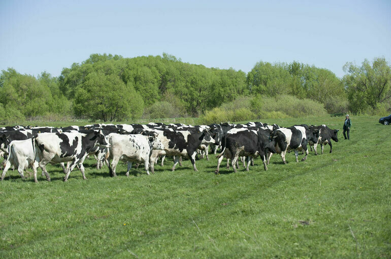   Юрий Инякин/ПГ