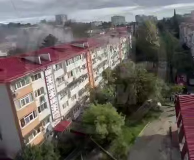    Фото: Telegram/ЧП Сочи