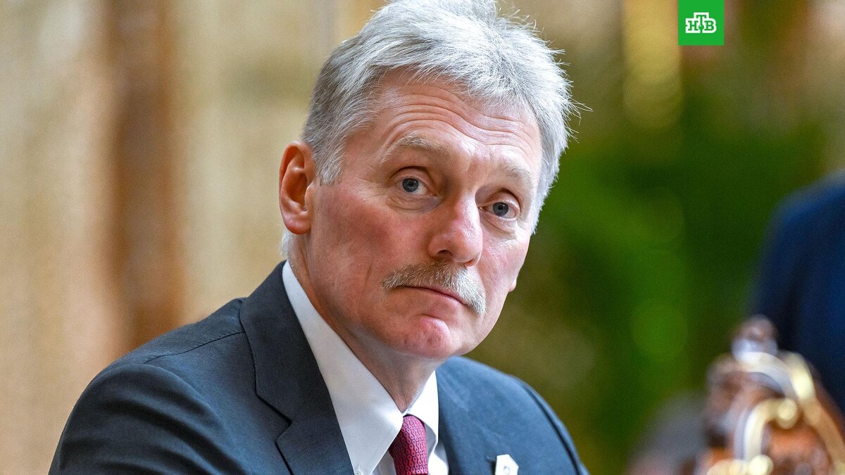    Фото: РИА Новости © 2025, Кристина Кормилицына