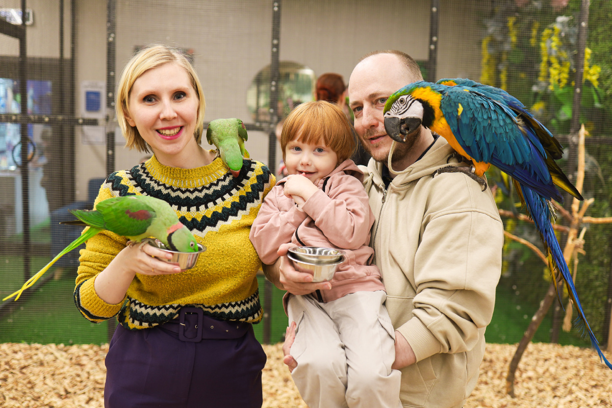 Общение с попугаями в зоопарке "Дом Попугаев"