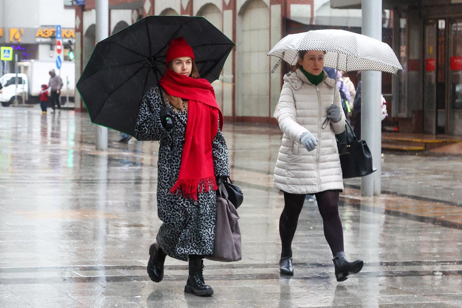    Наталья Шатохина/NEWS.ru