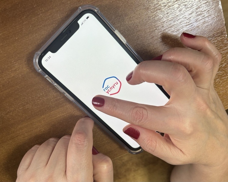     Куряне могут усилить защиту аккаунта на Госуслугах