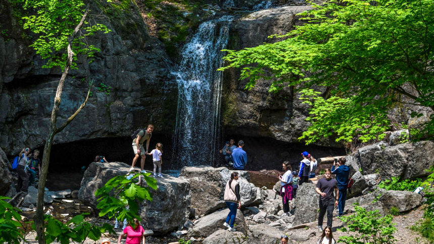    Фото: © РИА Новости/Виталий Аньков; 5-tv.ru