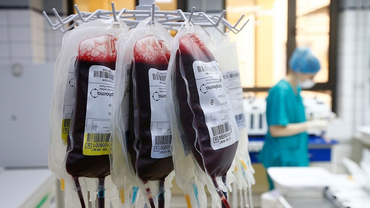    Фото: телеканал «Краснодар»