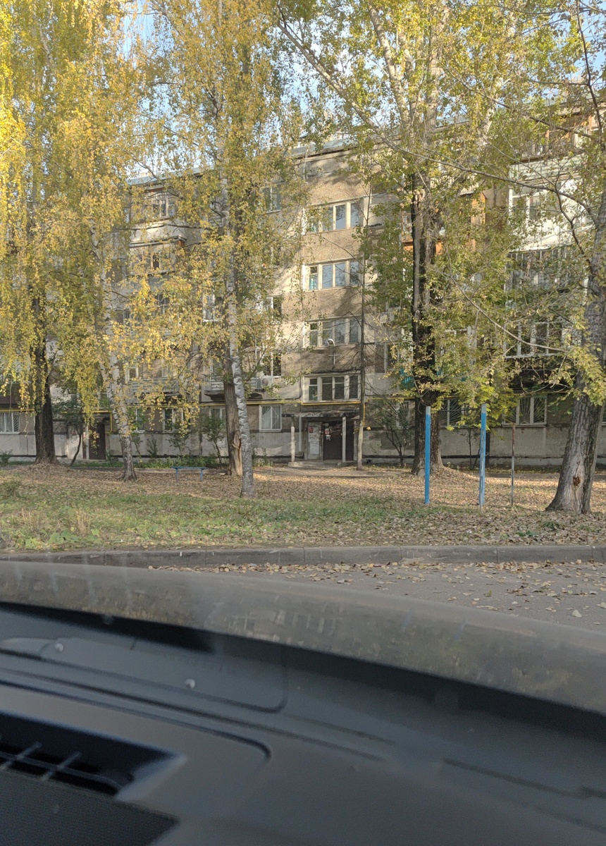 Фото прошлой недели