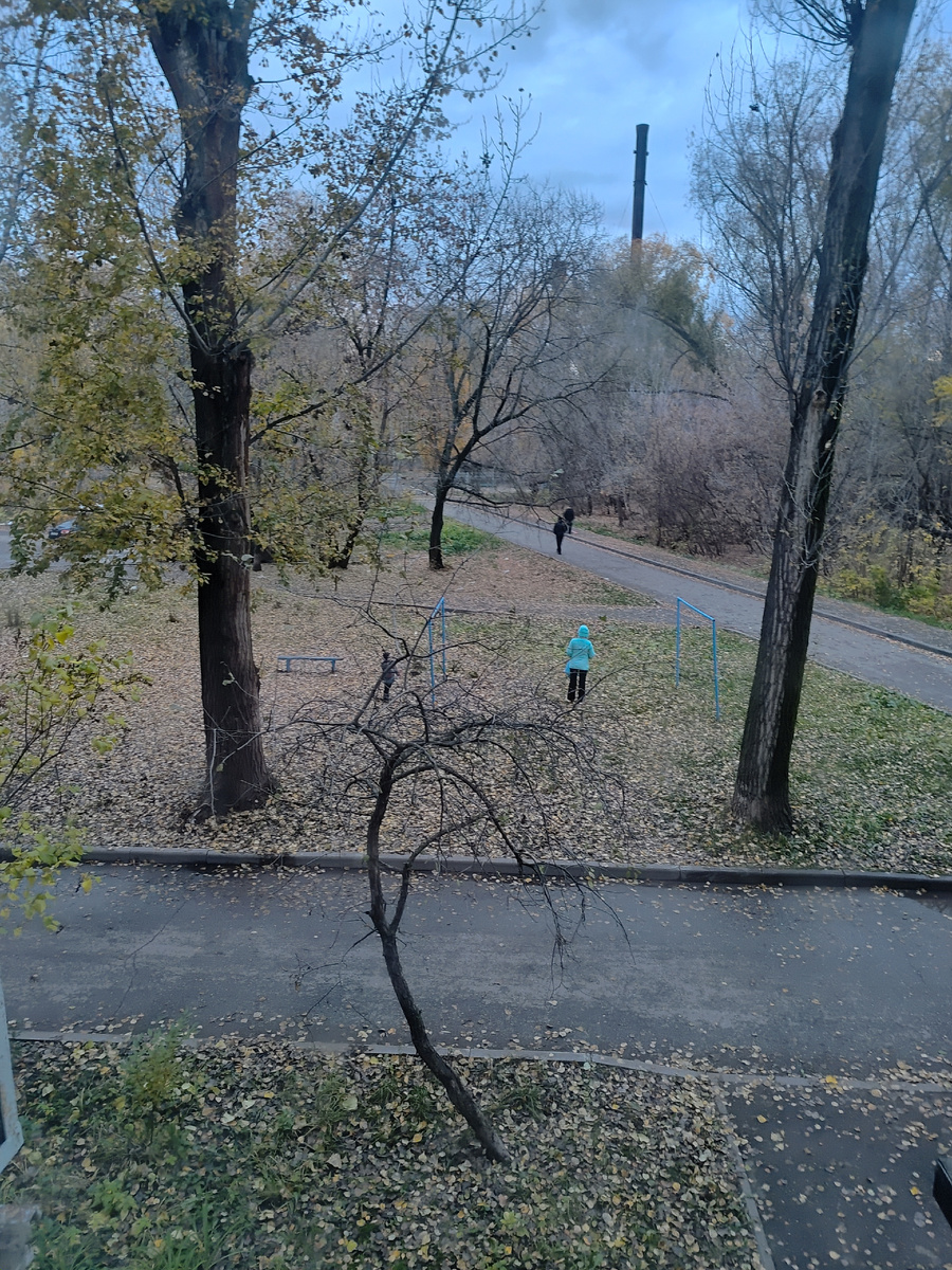 Сейчас за окном