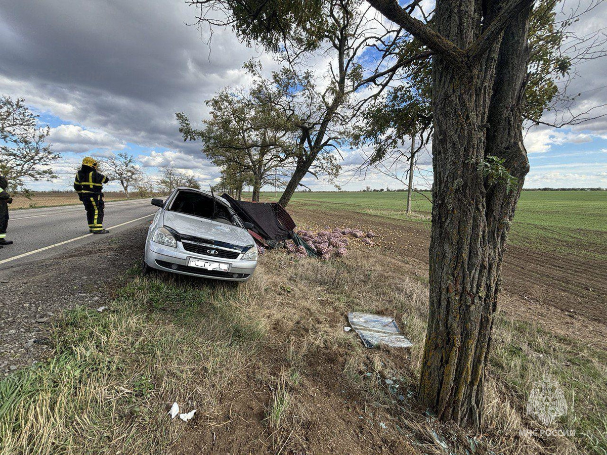    Фото: пресс-служба ГУ МЧС России по Херсонской области