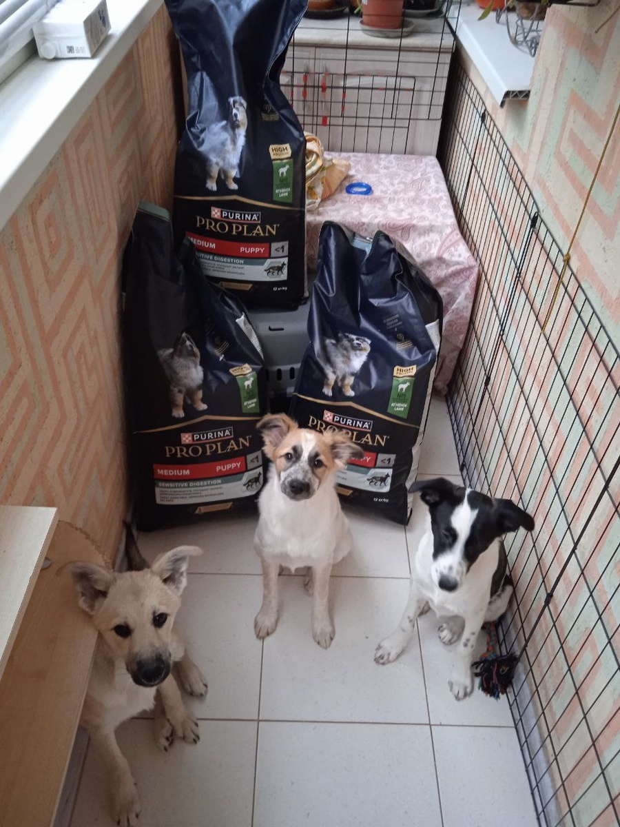 +7 925 324 8325 Анна