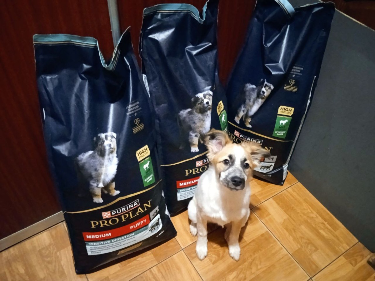 +7 925 324 8325 Анна