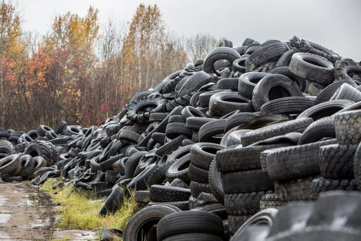    Старые шины / © Томский Обзор, Вероника Белецкая