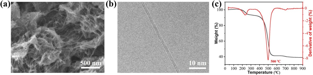    (а) Изображение с помощью сканирующего электронного микроскопа и (b) изображение с помощью просвечивающего электронного микроскопа углеродных нанотрубок, выращенных из натурального каучука при температуре 800 °C / © Carbon Neutralization