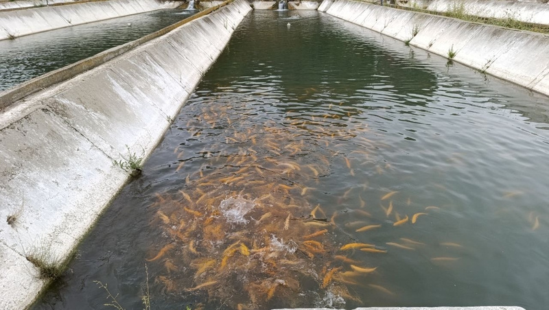      Фото: Администрация Предгорного округа