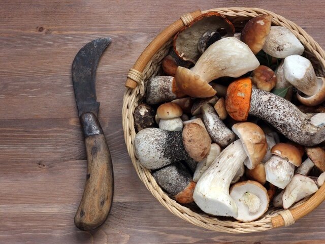    Фото: depositphotos/BalaguR