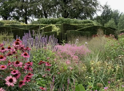 Сад Пита Удольфа