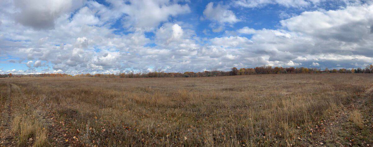    Фото Минприроды Самарской области