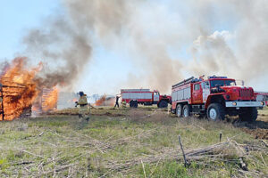 /  ФОТО donland.ru Администратор  📷
