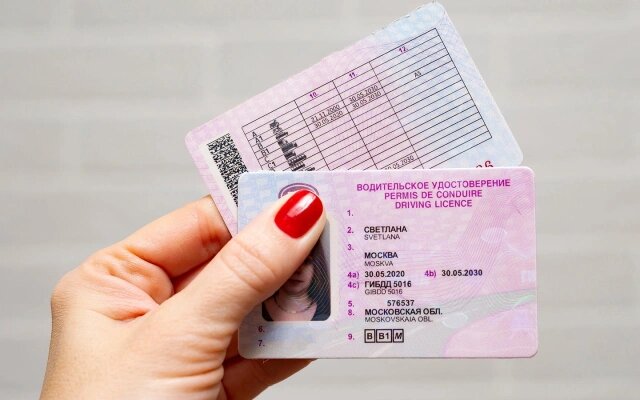 Фото: igorykor / Shutterstock / FOTODOM