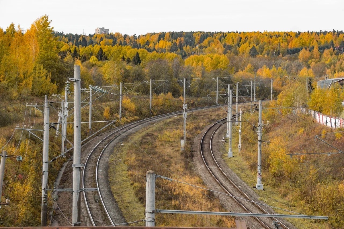    Фото: «Республика» / Оксана Кудряшова