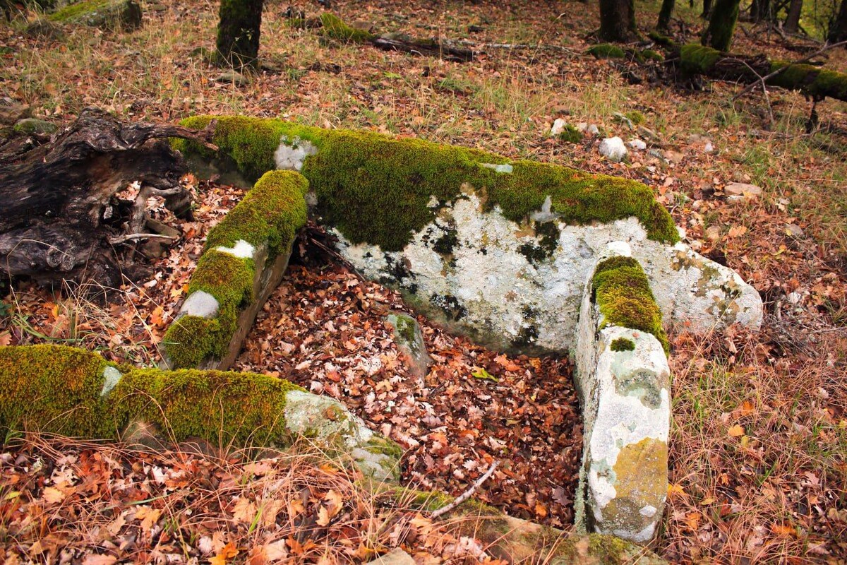 Таврские ящики // Фото: Олег Древницкий