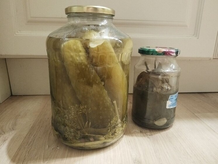     Фото: архив МК в Ленобласти.