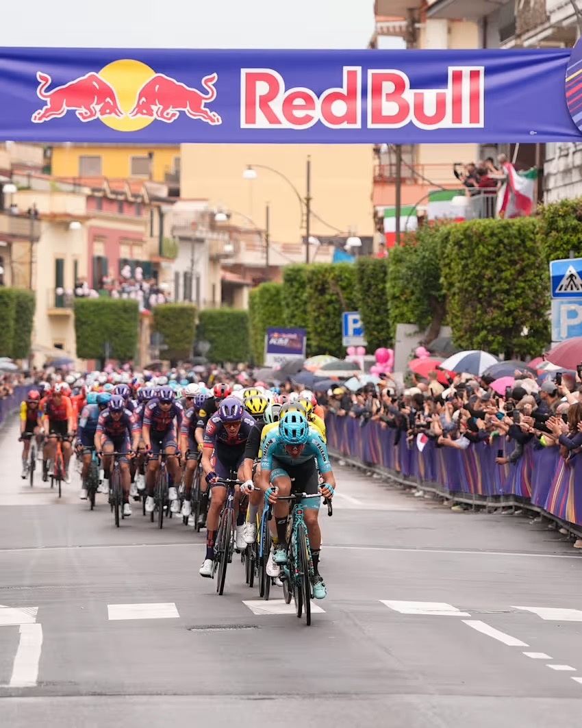 Изображение взято с сайта reddbull