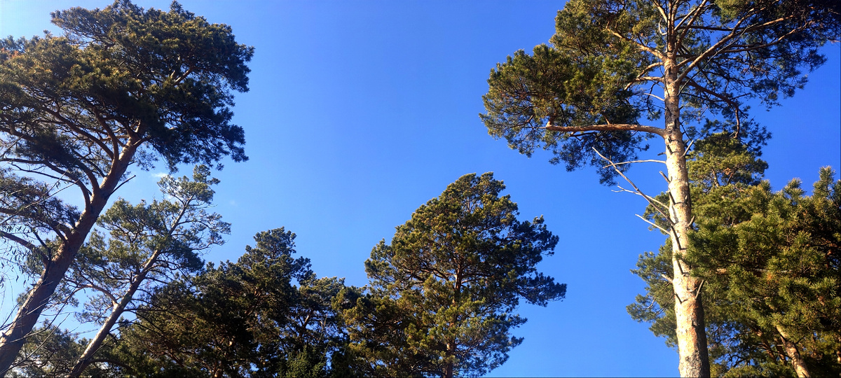 Глядя на такое небо, даже и не верится, что кругом сугробы 😊