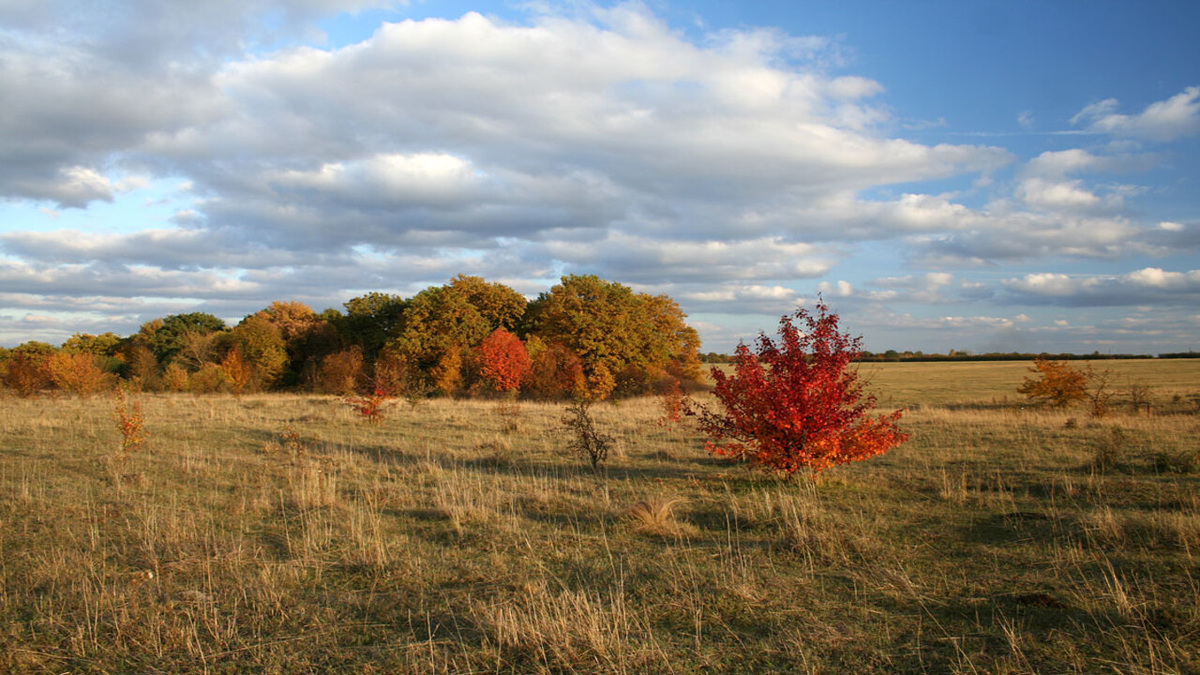    В Курской области отмечается День работников заповедного дела