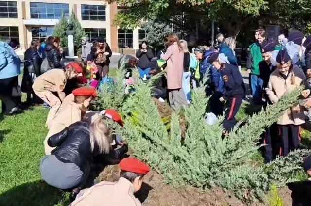    Что за цветы высадили в сквере Саши Филиппова под зиму в Волгограде?