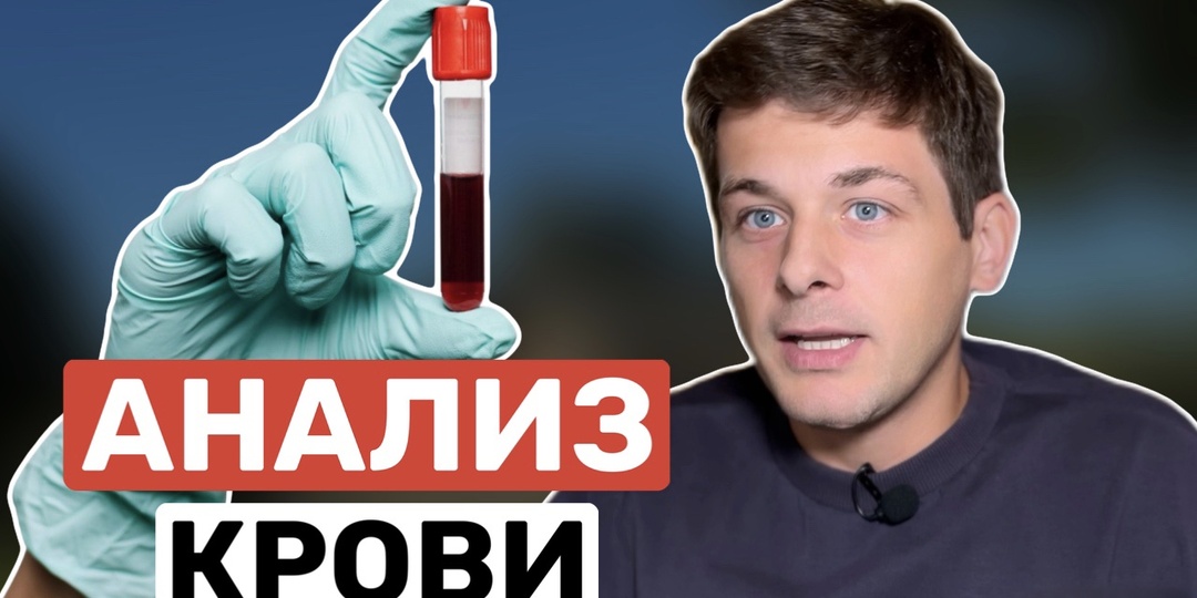 Общий анализ крови: учимся понимать язык нашего организма