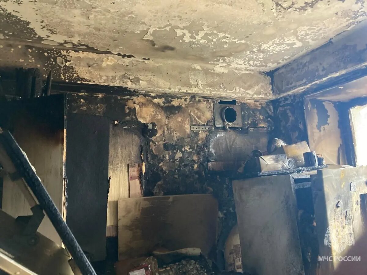    Фото: пресс-служба МЧС по Петербургу