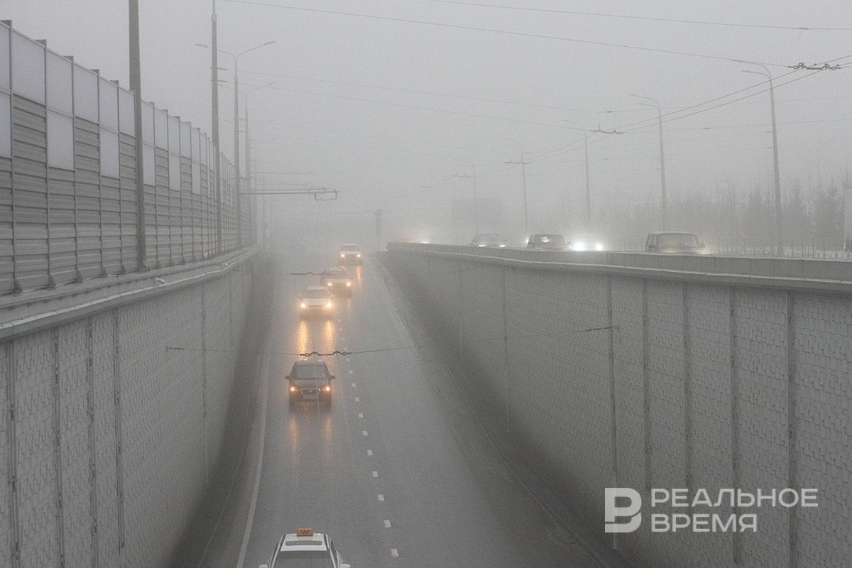   Мария Зверева / realnoevremya.ru