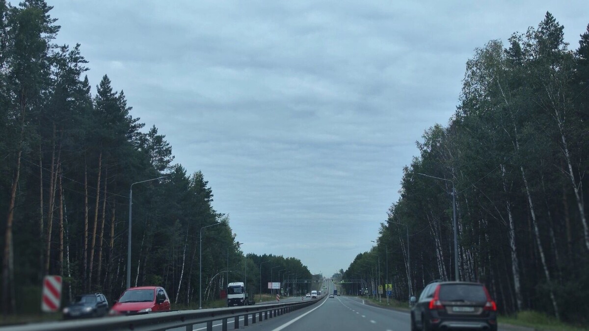     Источник: newsnn.ru